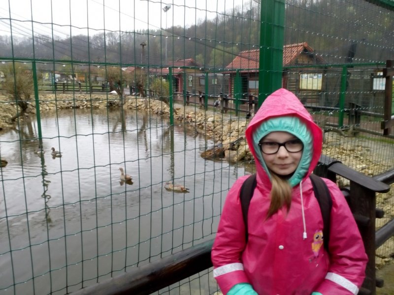 Wycieczka do Jura Parku w Bałtowie